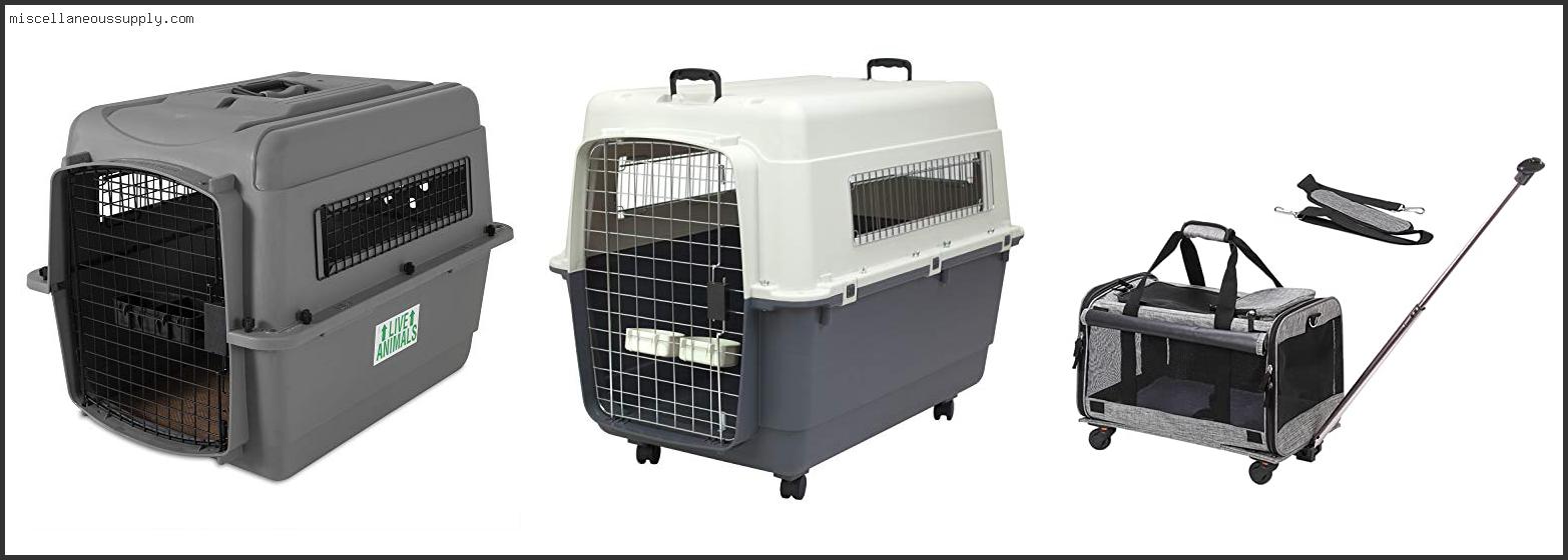 Best Airline Approved Dog Crate