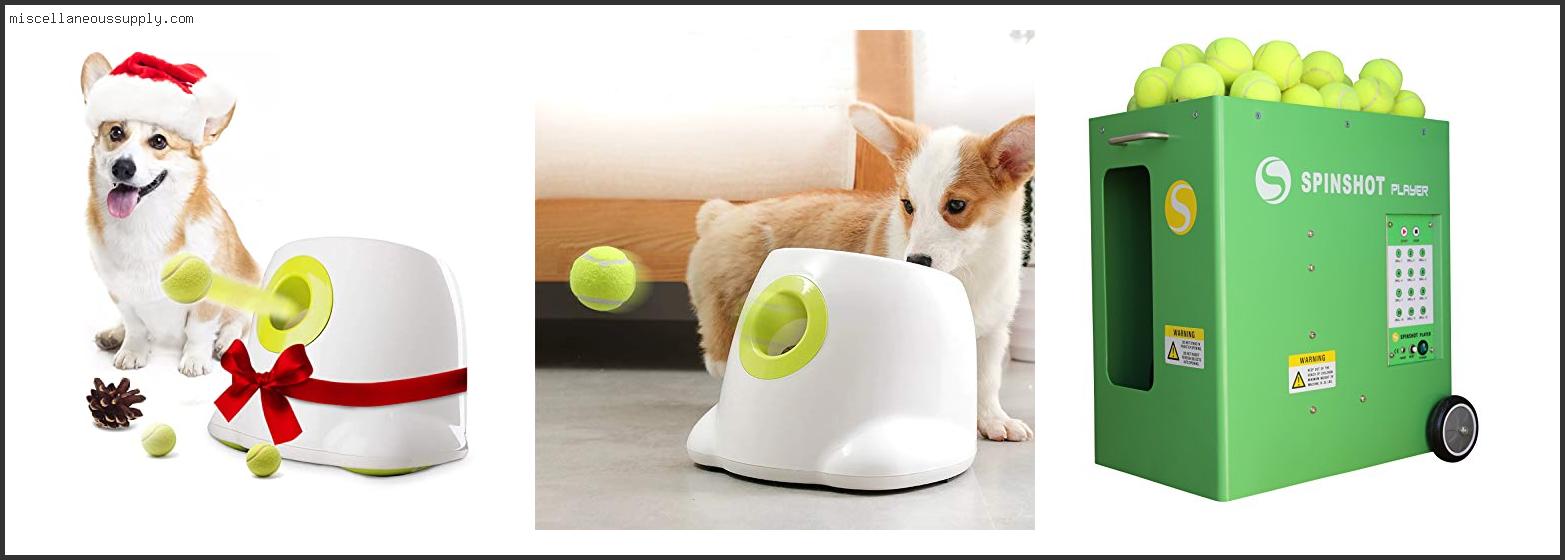 Best Automatic Fetch Machine For Dogs
