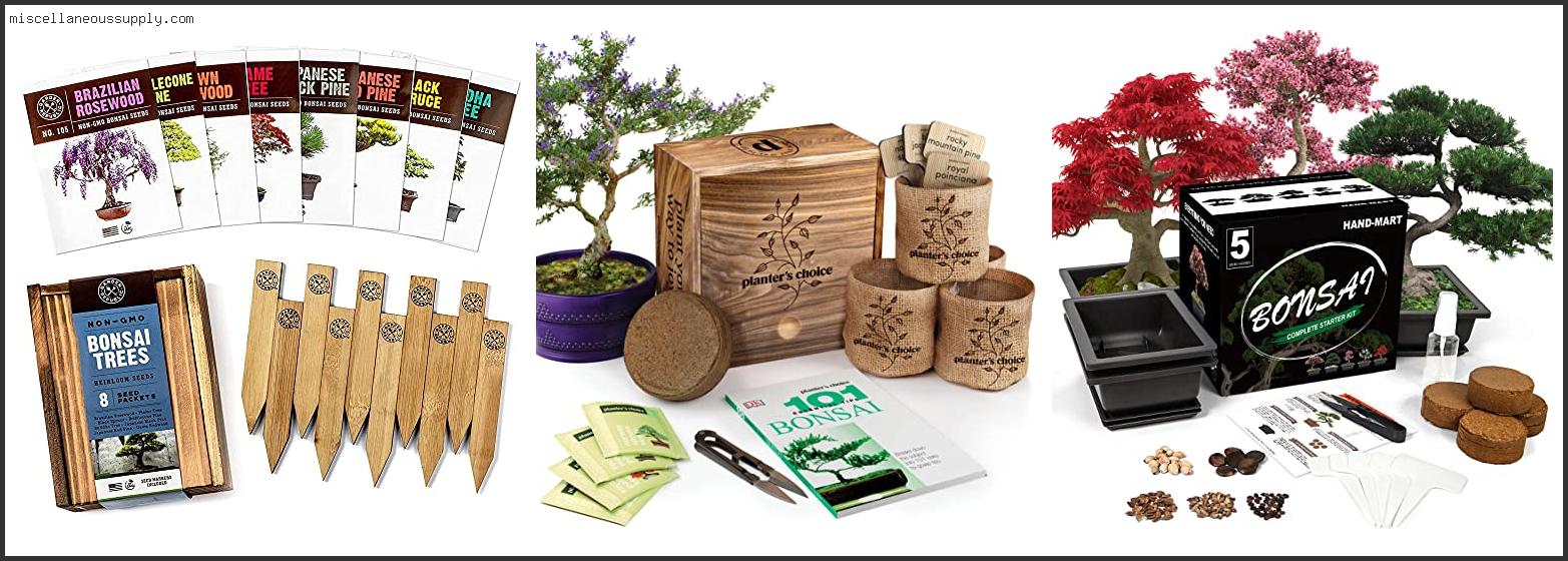 Best Bonsai Growing Kit