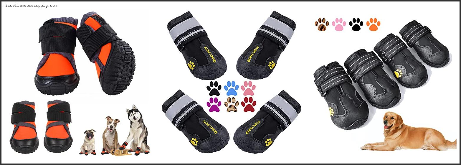 Best Boots For Dogs