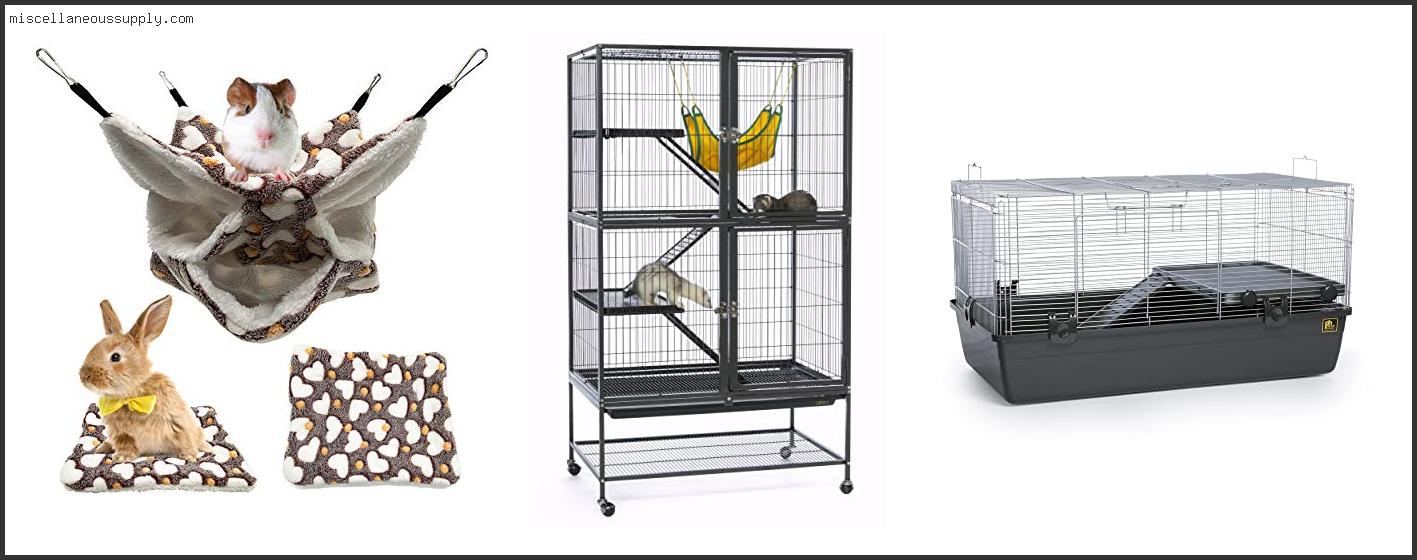 Best Cages For Pet Rats