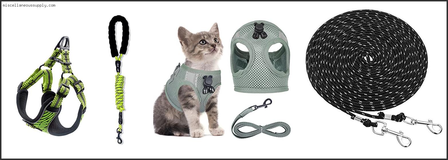Best Cat Harness And Lead
