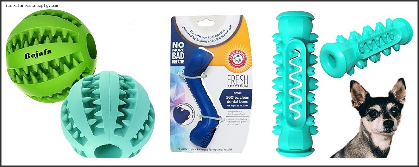Best Dog Chew Toys For Cleaning Teeth