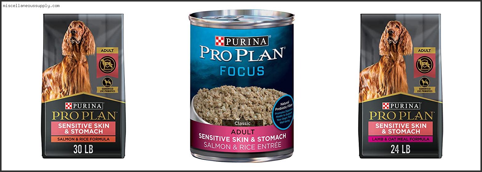 Best Dog Food For Small Dogs With Sensitive Stomachs