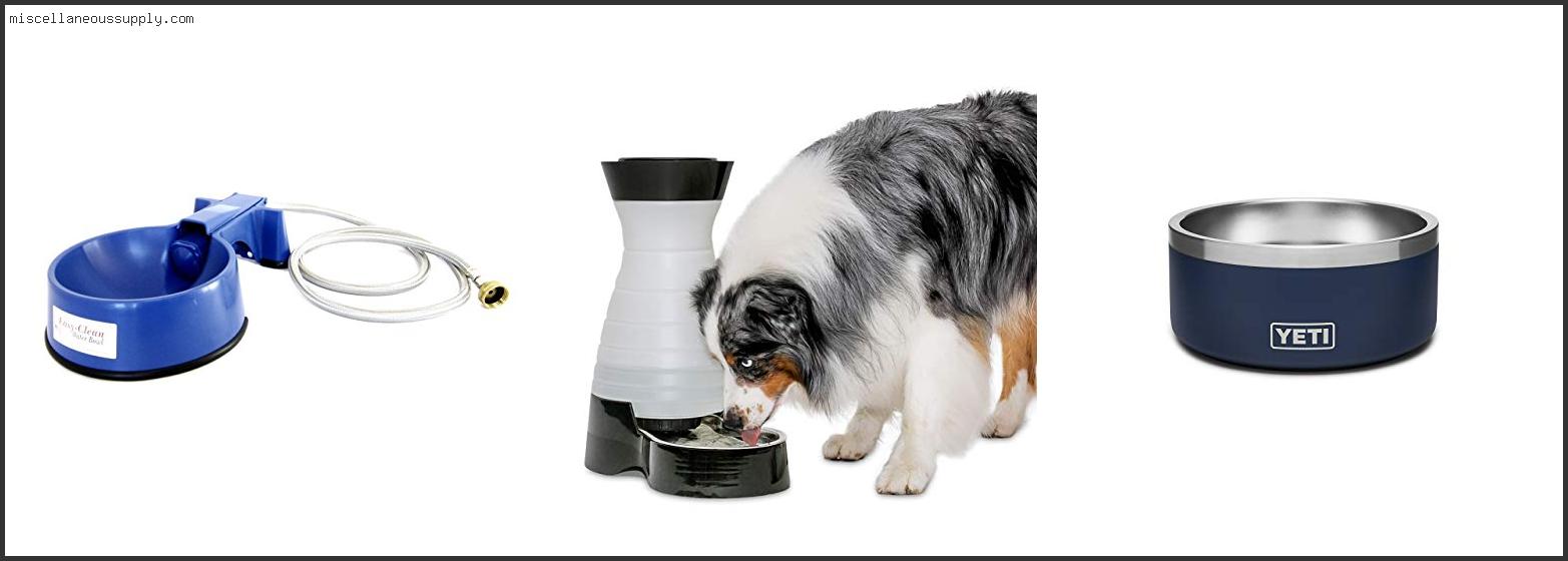 Best Dog Water Bowl For Outside