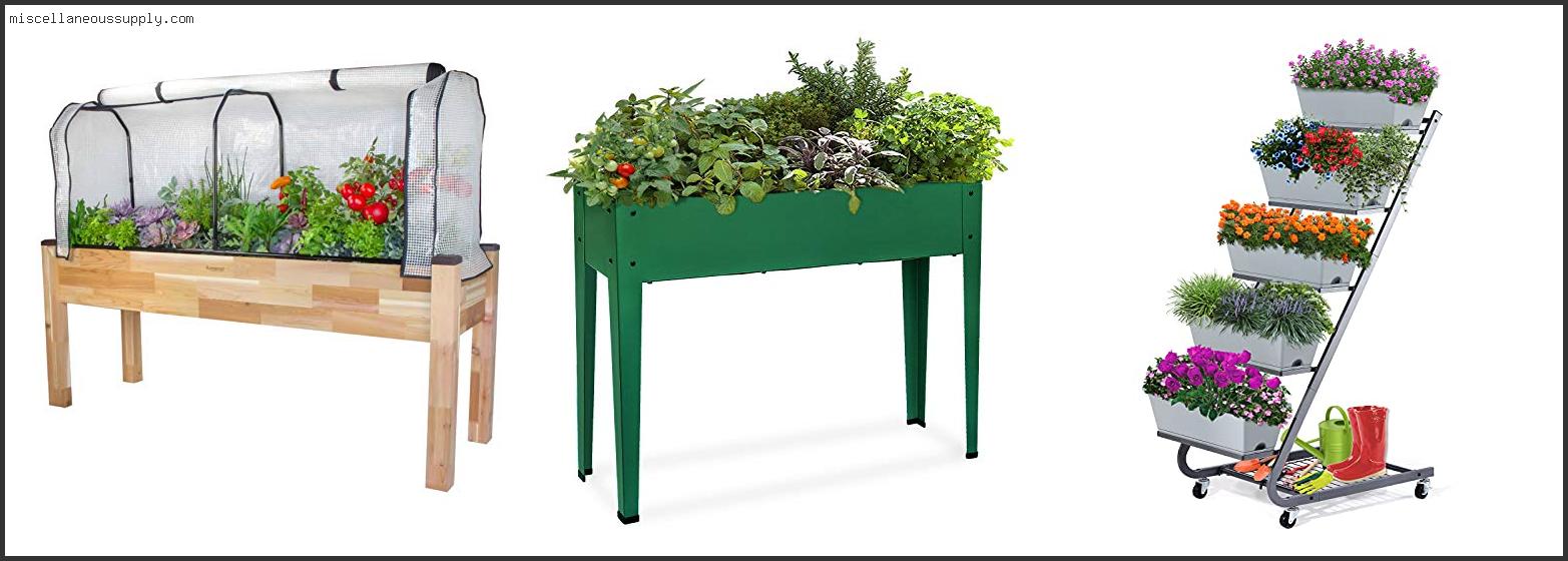 Best Elevated Planters