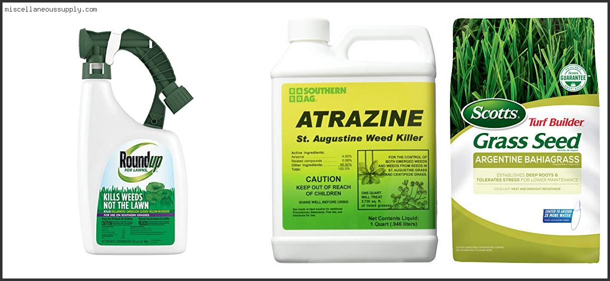 Best Feed For St Augustine Grass