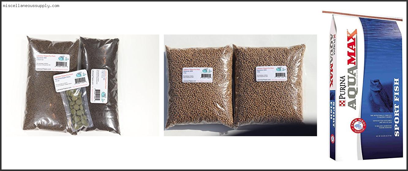 Best Fish Feed For Tilapia