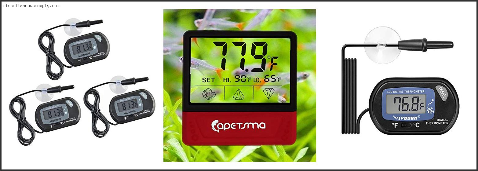 Best Fish Tank Thermometer