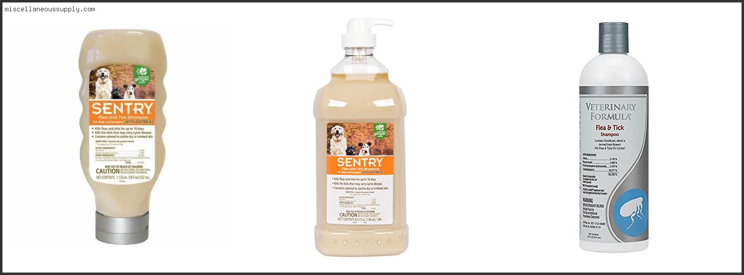 Best Flea Shampoo For Small Dogs