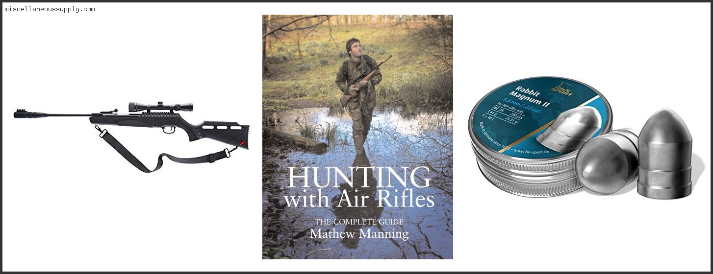 Best 22 Pellets For Squirrel Hunting