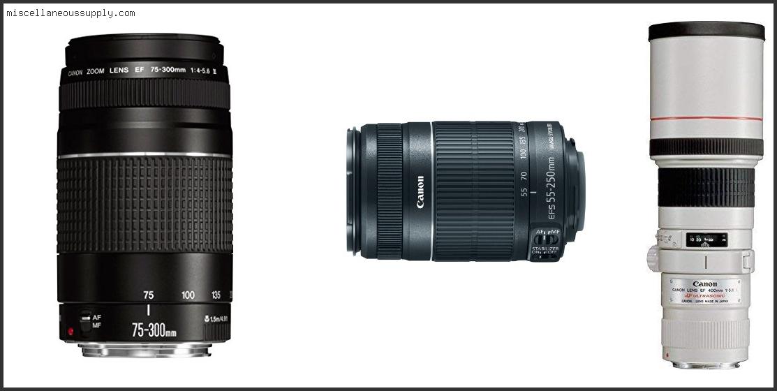 Best Affordable Telephoto Lens For Canon