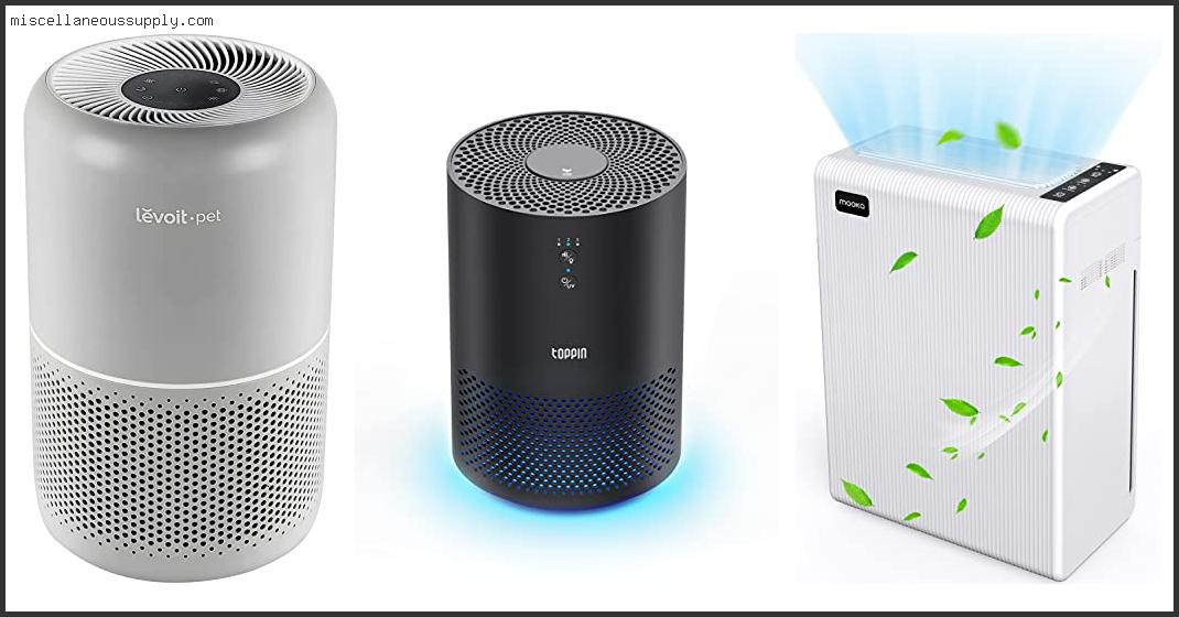 Best Air Purifier For Pet Hair And Dander