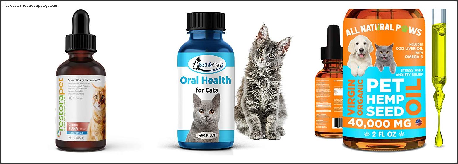 Best Anti Inflammatory For Cats