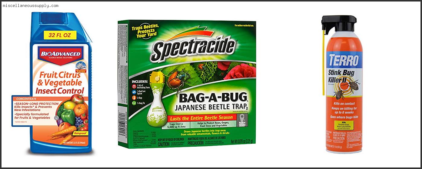Best Asian Beetle Spray