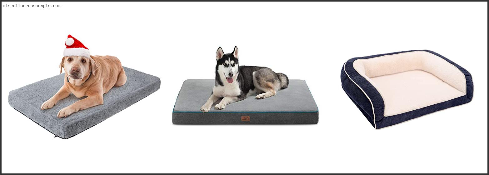Best Bed For Arthritic Dog