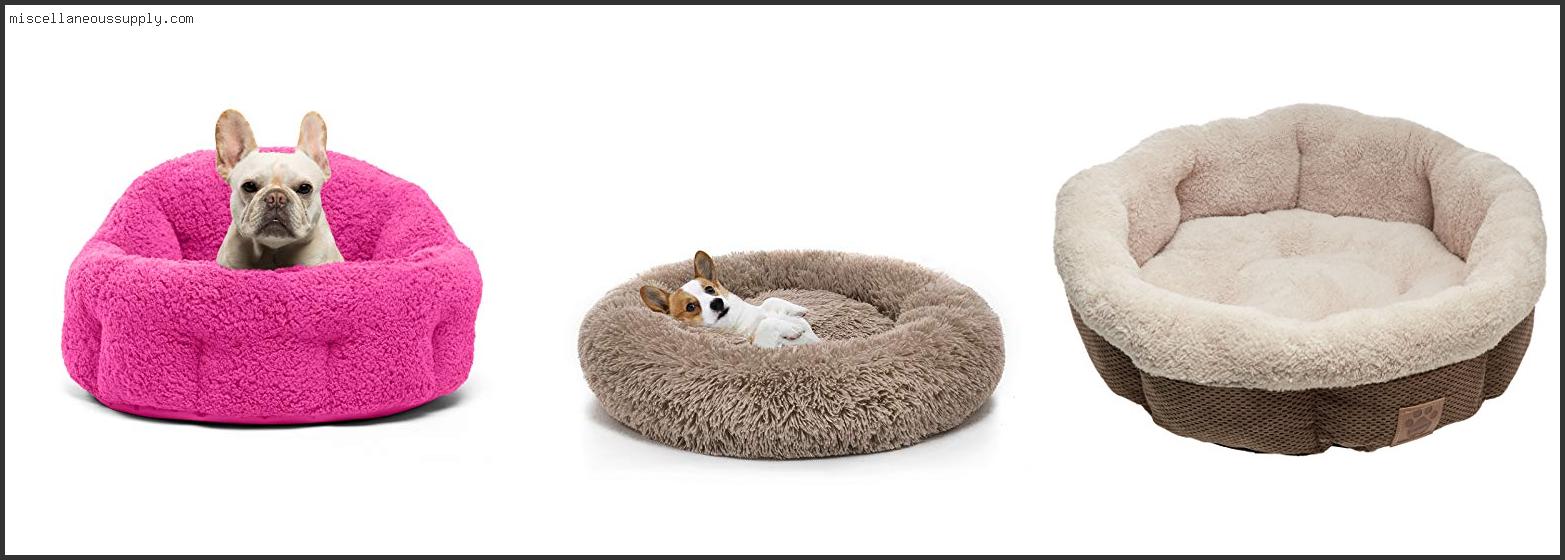 Best Beds For Frenchies