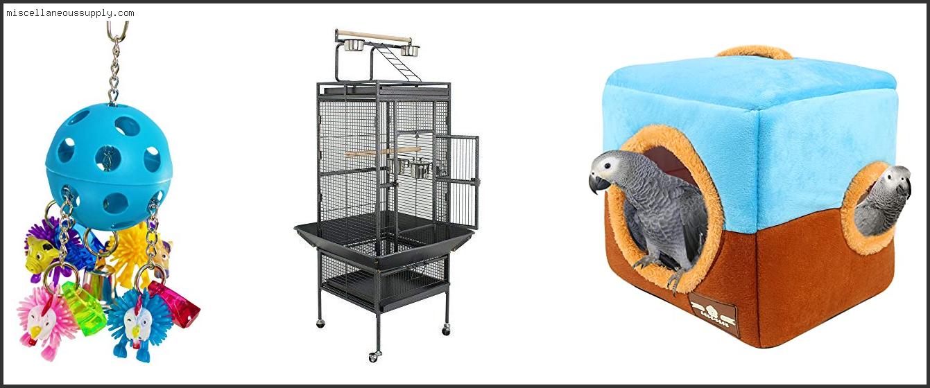 Best Cage For Cockatoo