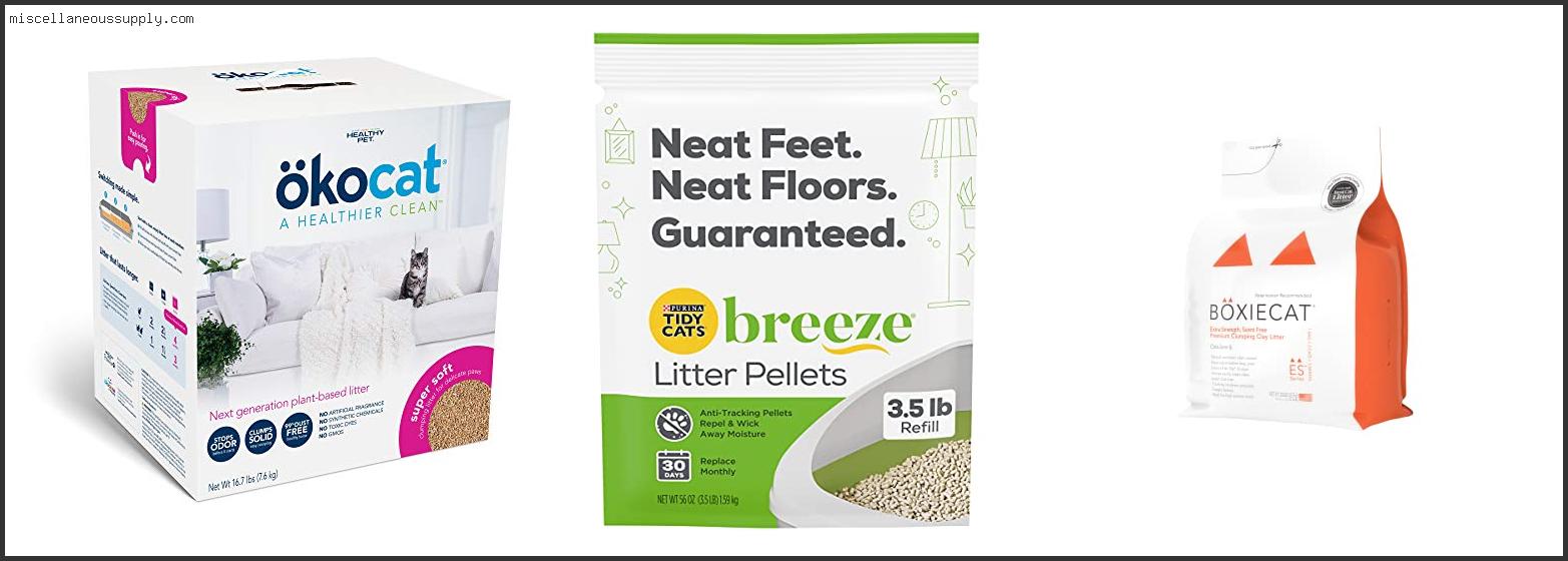 Best Cat Litter For Odor Control And Tracking