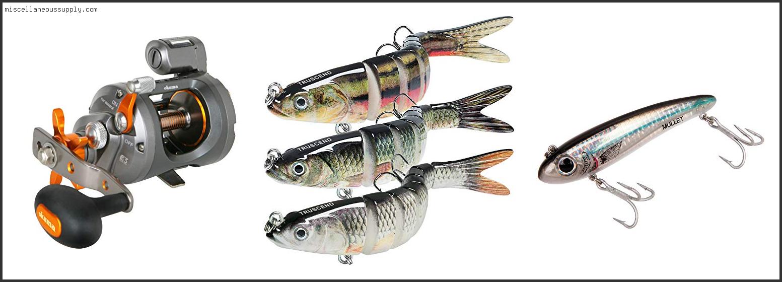 Best Cold Water Lures