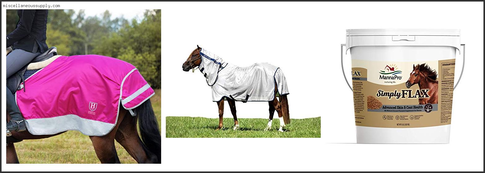 Best Cooler Rugs For Horses