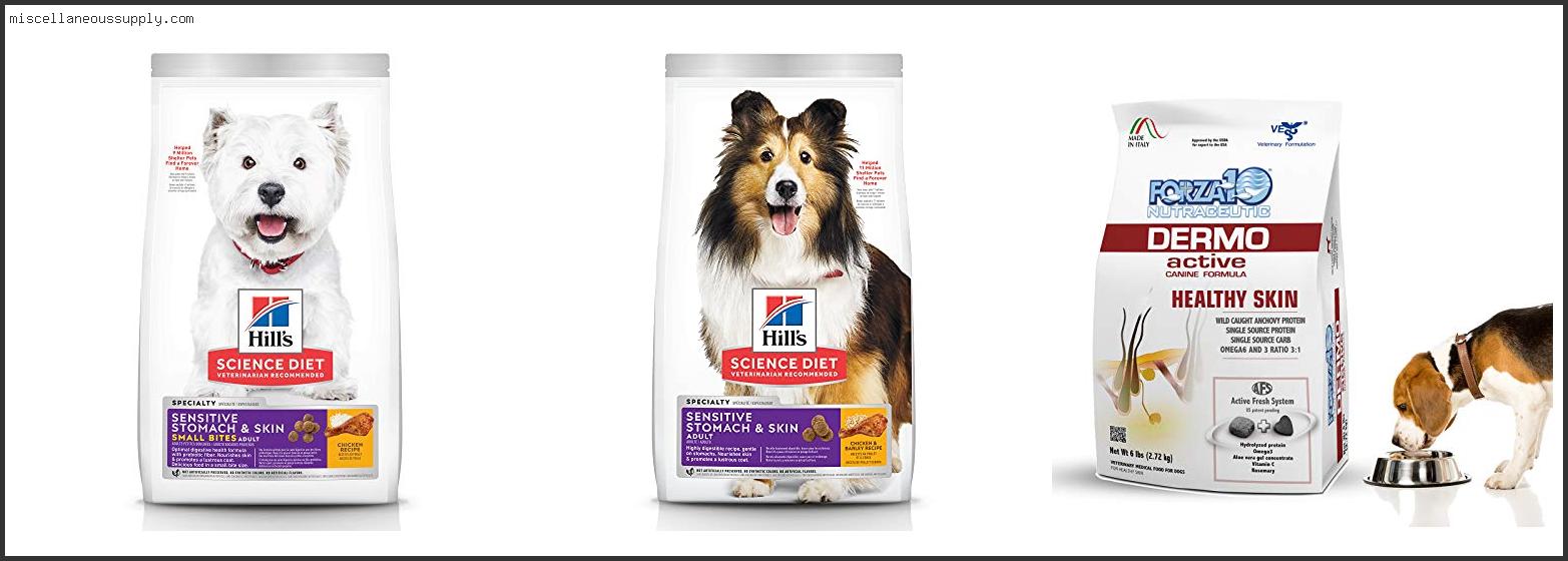 Best Dog Food For Food And Skin Allergies