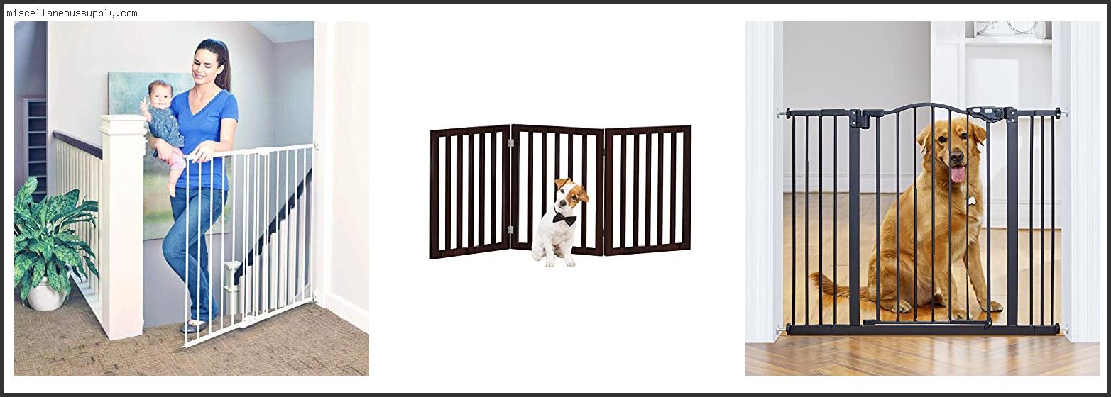 Best Dog Gate For Bottom Of Stairs