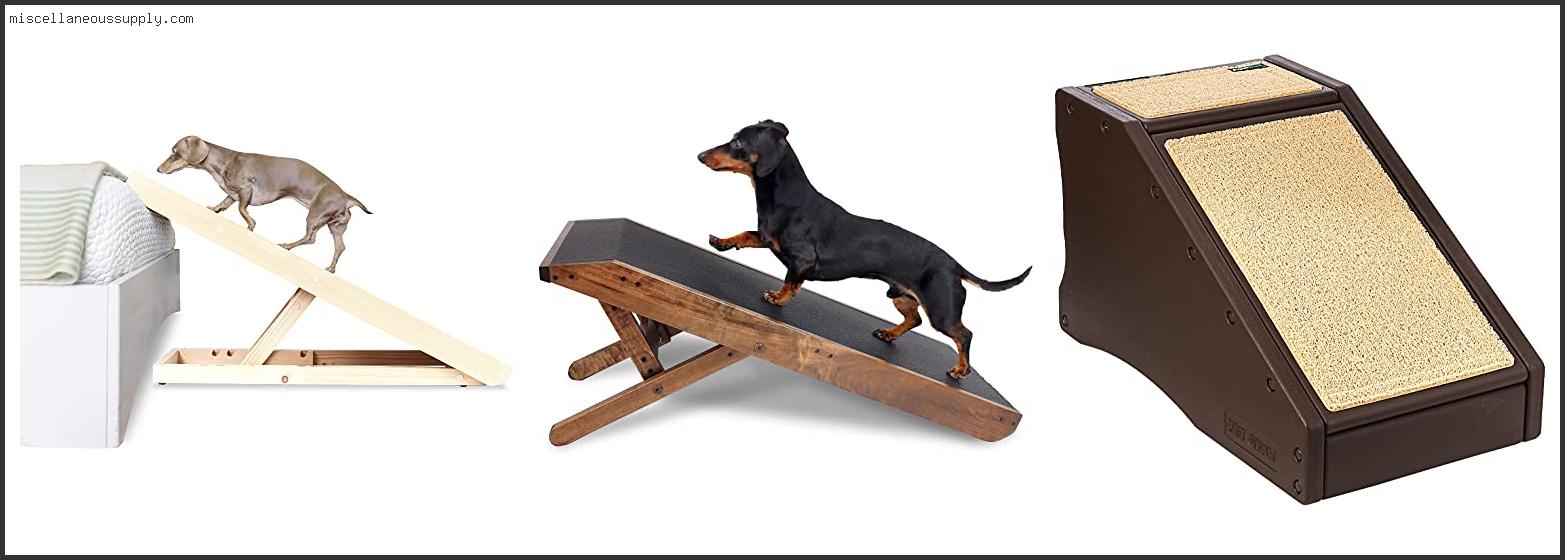 Best Dog Ramps For Dachshunds