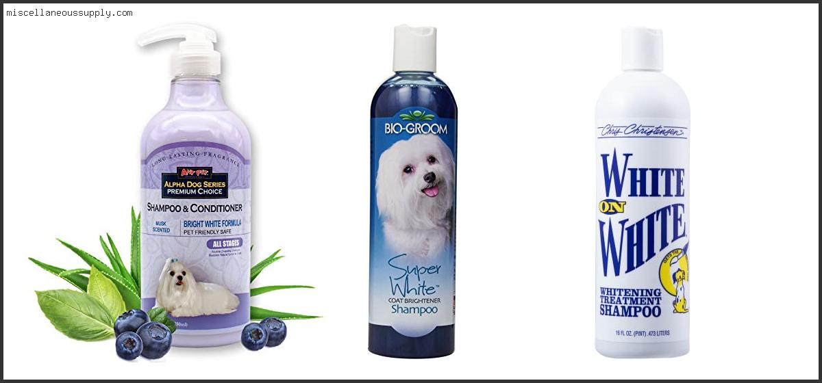 Best Dog Shampoo For White Fur